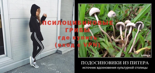 прущие крисы Алексин