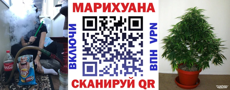 где можно купить   Апшеронск  Каннабис план 
